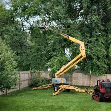 Magnolia, AR  Tree Services Company